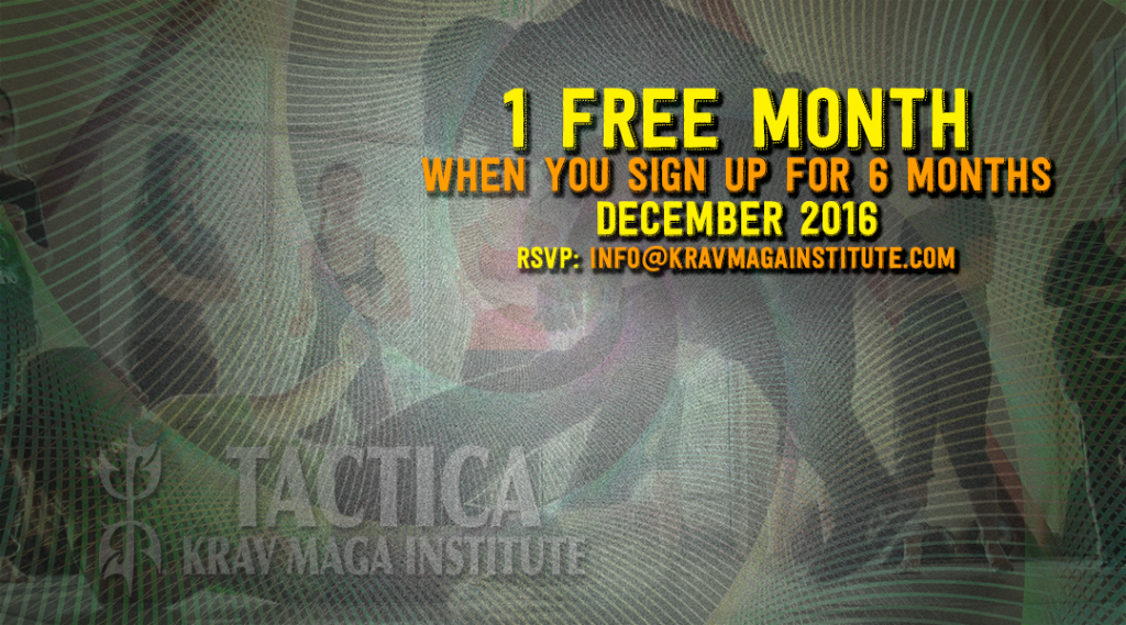 december-free-month-with-6-web-ad