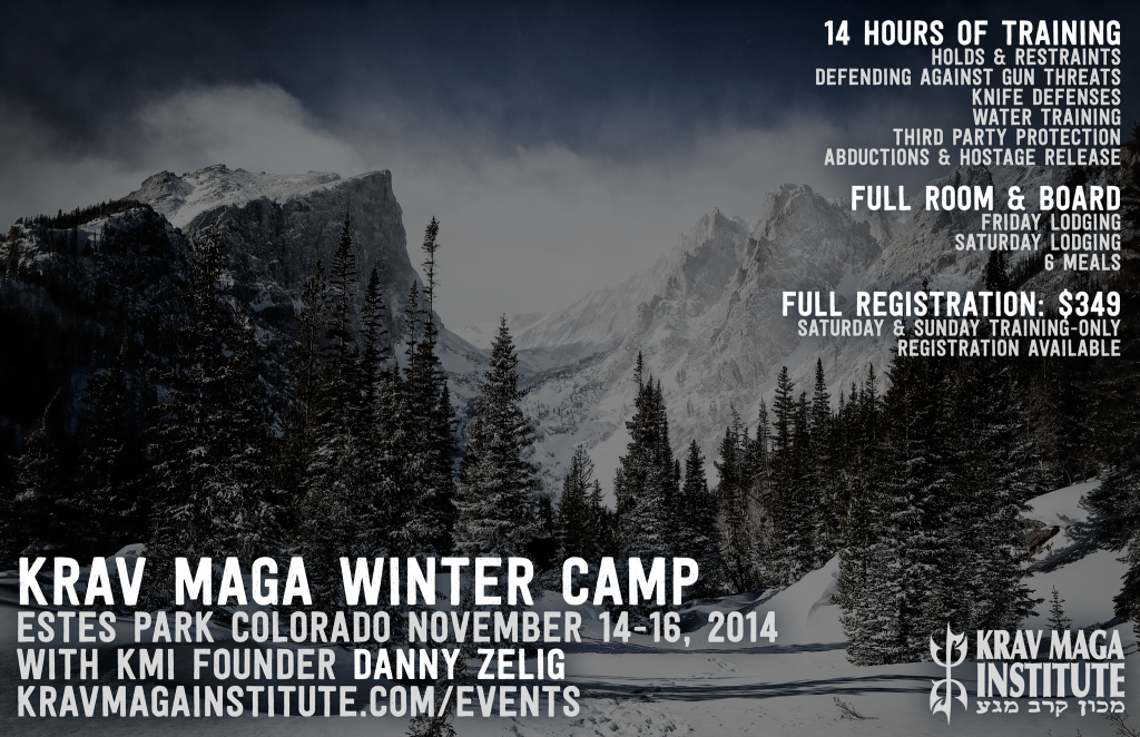 WinterCamp2014PosterS